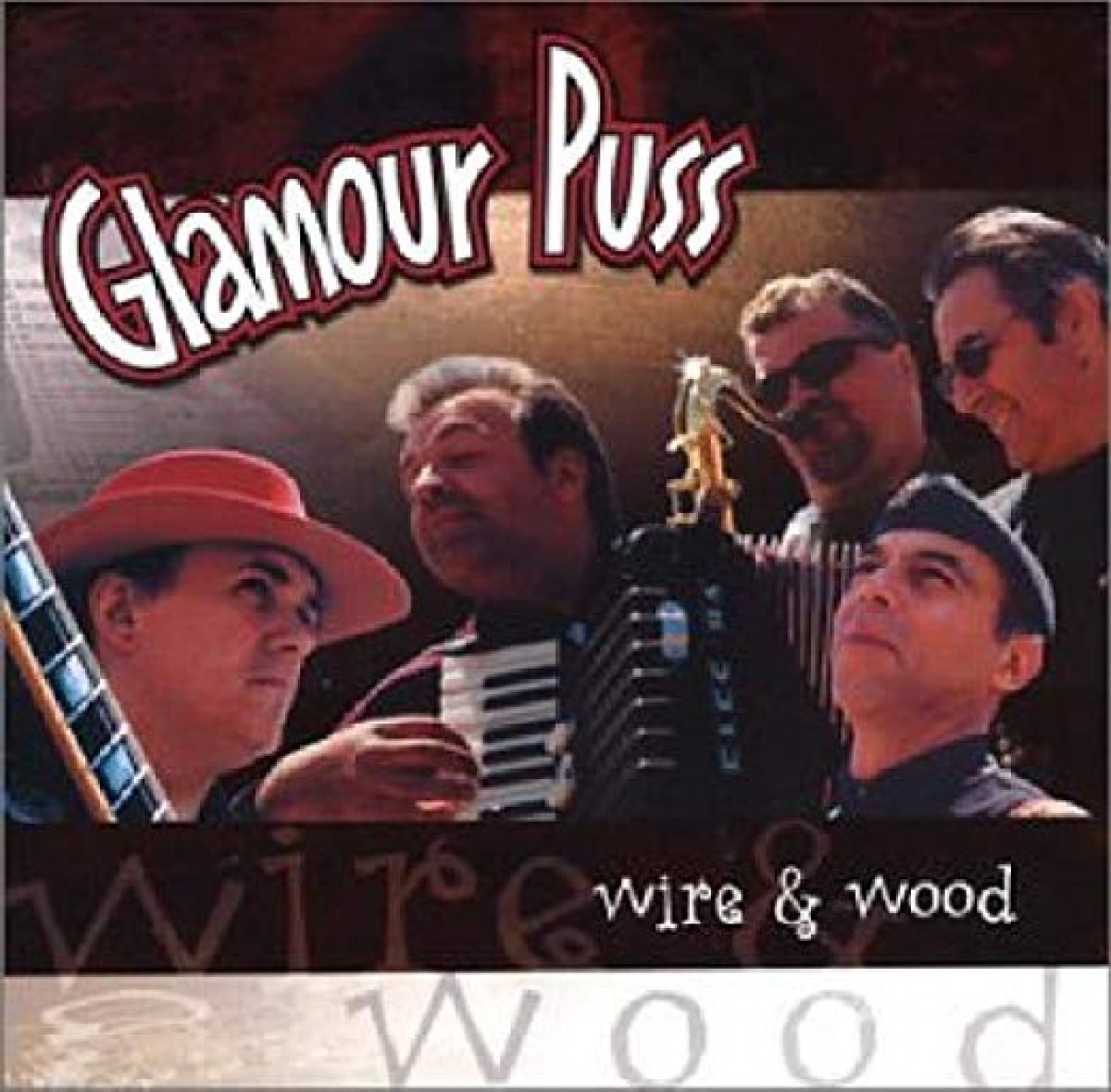 Glamour Puss -Wire & Wood