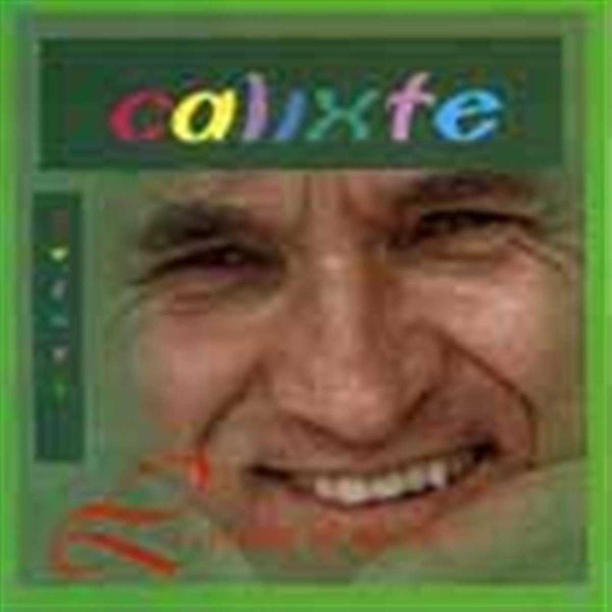 Calixte Duguay - Les couleurs de ma vie