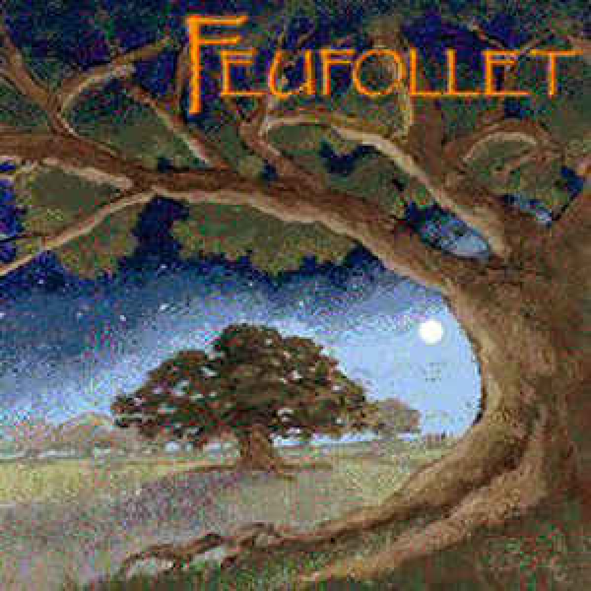 Feufollet - Tout un beau soir