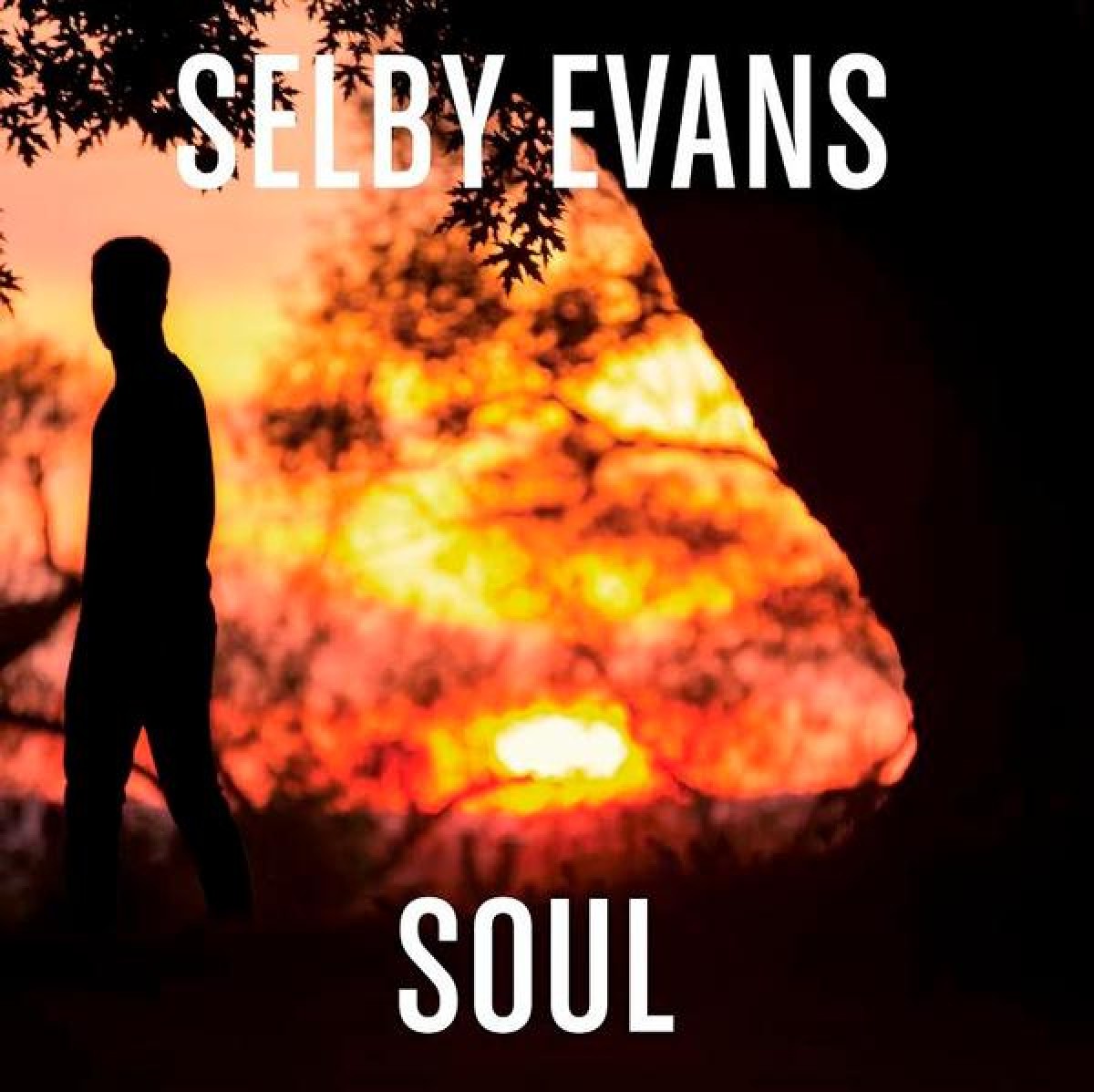 Selby Evans - Soul
