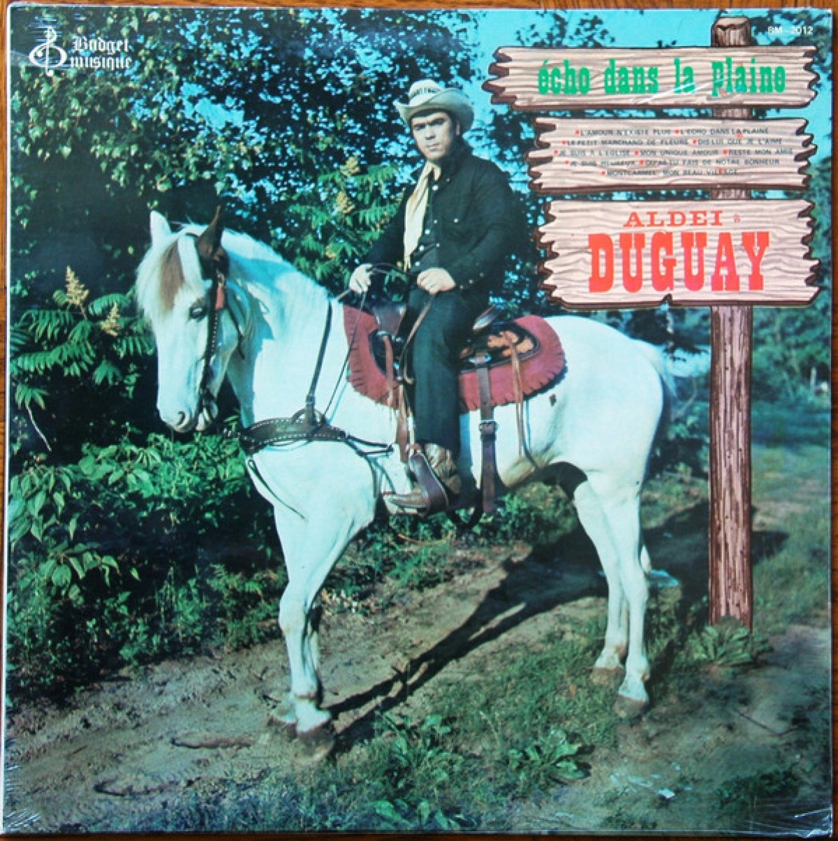 Aldéi Duguay - Écho dans la plaine