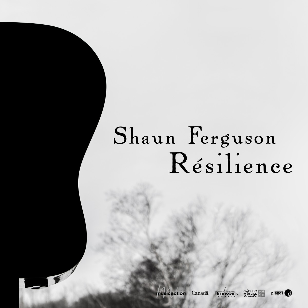 Shaun Ferguson - Résilience