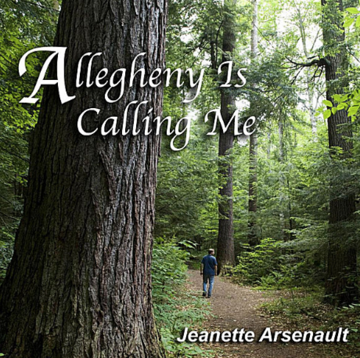 Jeanette Arsenault - Allegheny Is Calling Me