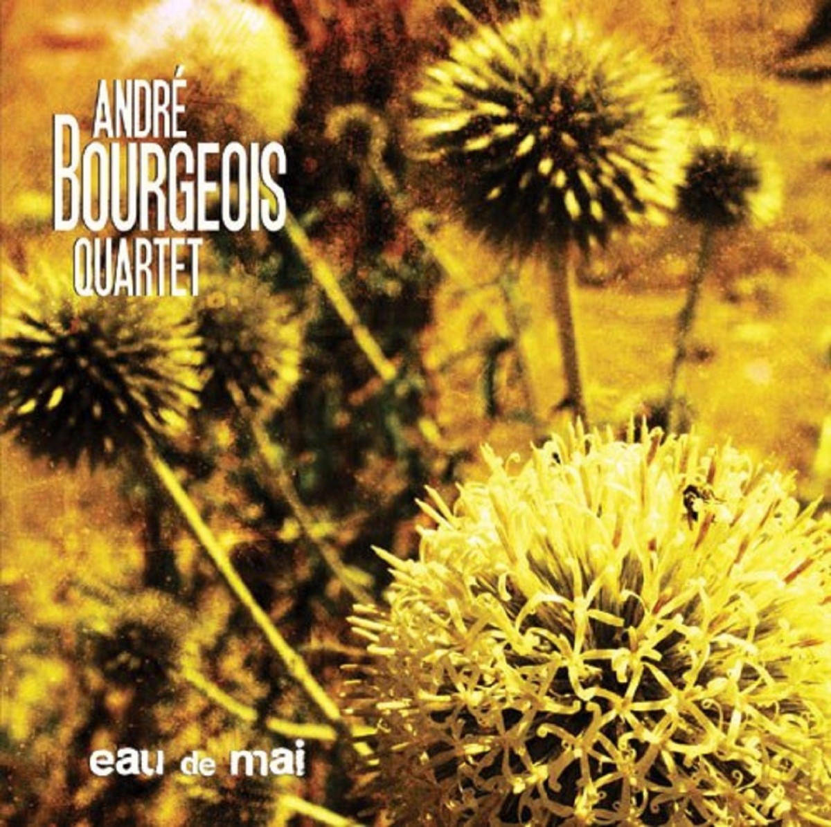 André Bourgeois - Eau de mai