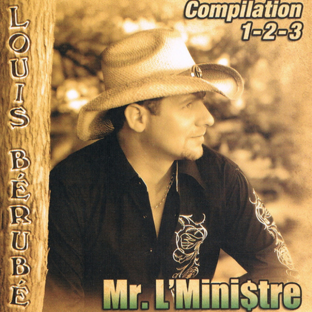 Louis Bérubé - Mr. L'Mini$tre
