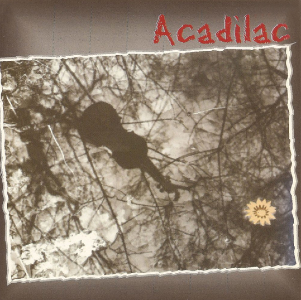 Acadilac- Acadilac